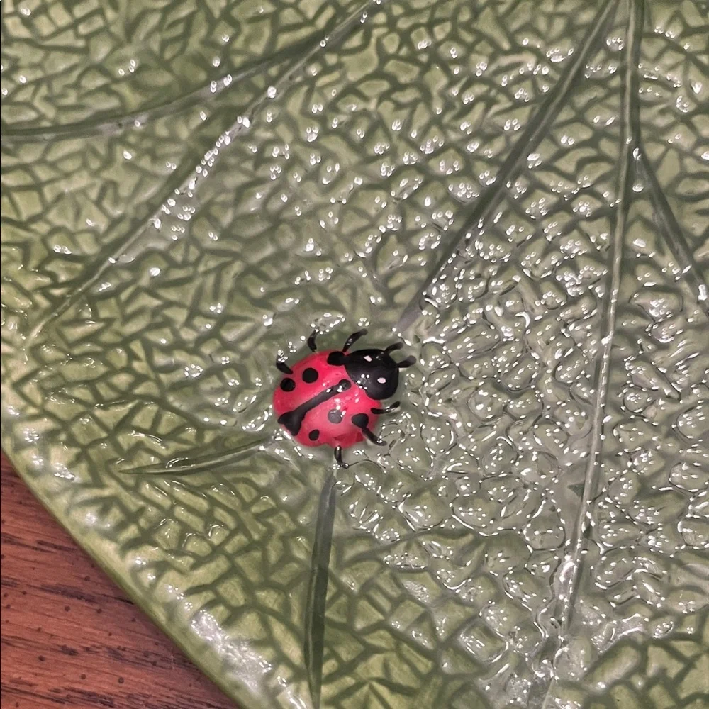 Pier 1 Imports Ladybug Leaf Dinner Plate‎